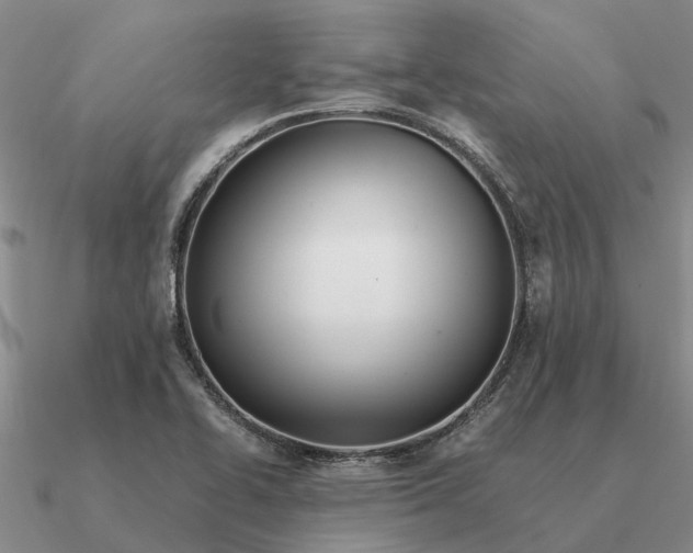 X0000090601414200708071133