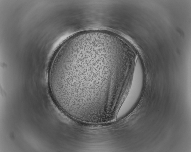 X0000090601416200708071133