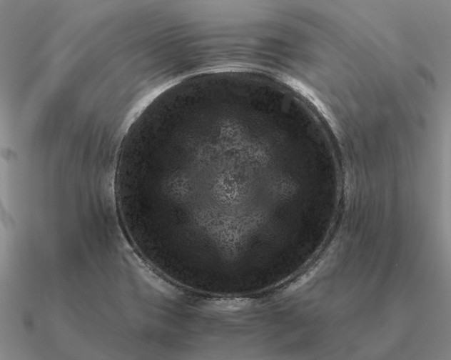 X0000090601417200708071133