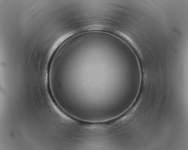 X0000090601418200708071133