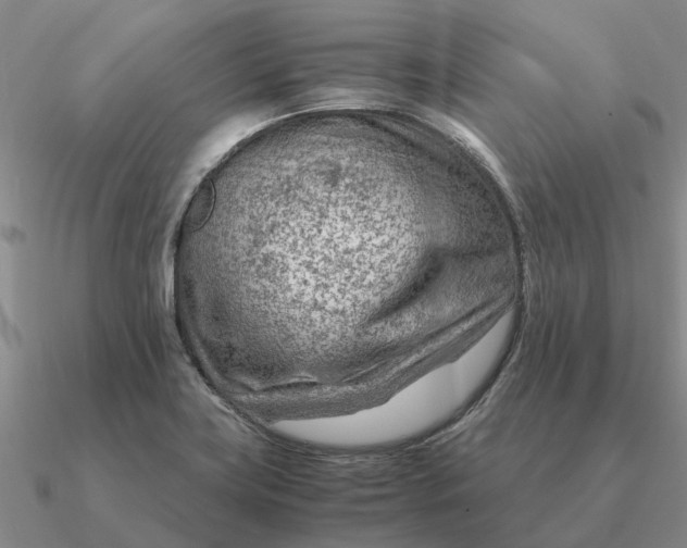 X0000090601419200708071133