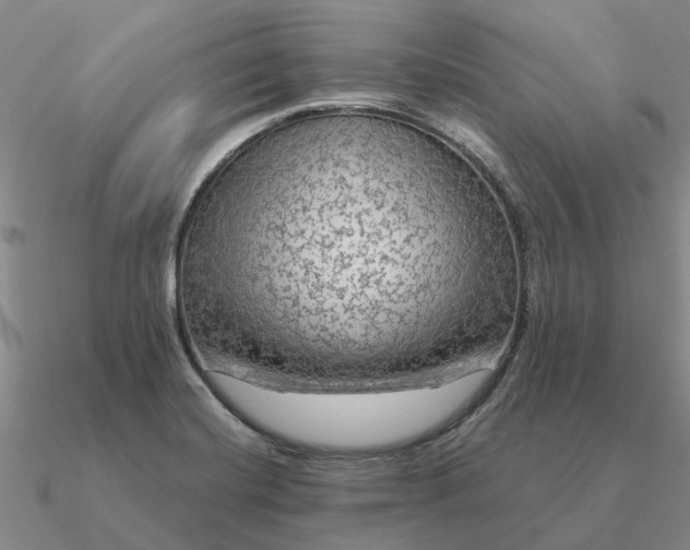 X0000090601420200708071133