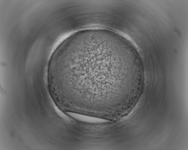 X0000090601421200708071133