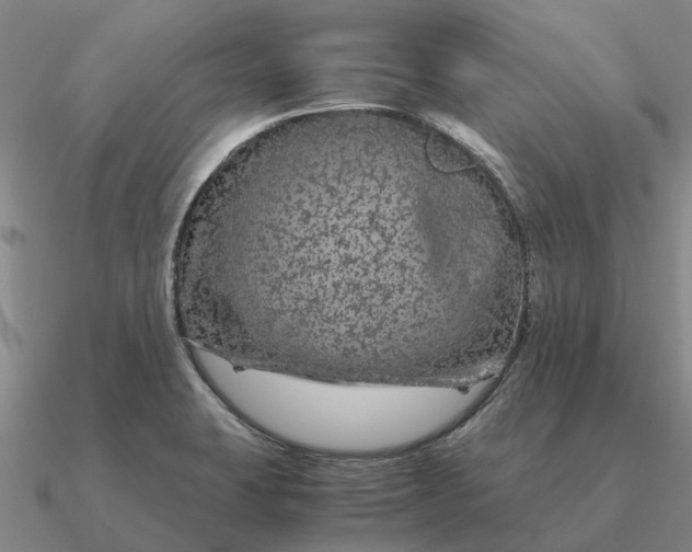 X0000090601423200708071133