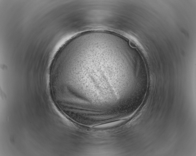 X0000090601424200708071133