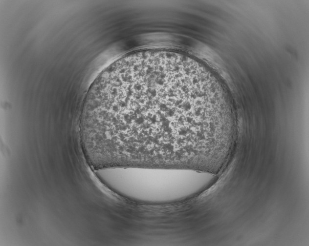 X0000090601425200708071133