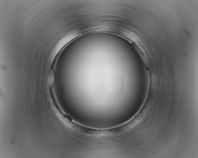 X0000090601426200708071133