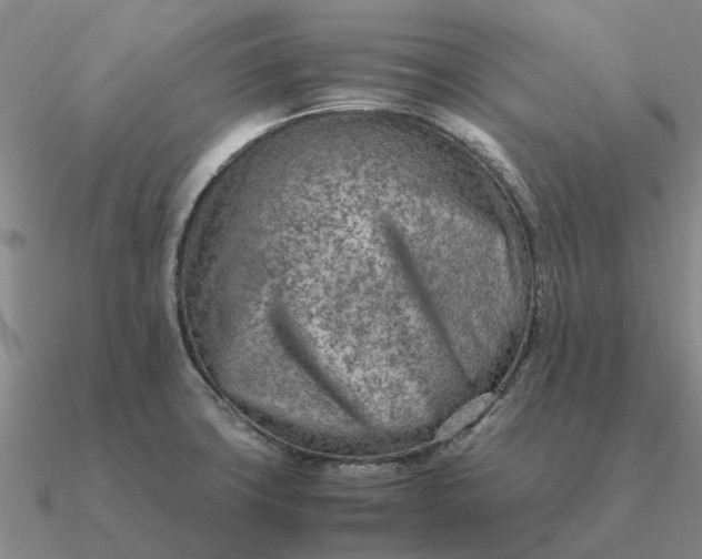 X0000090601427200708071133