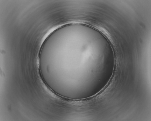 X0000090601428200708071133