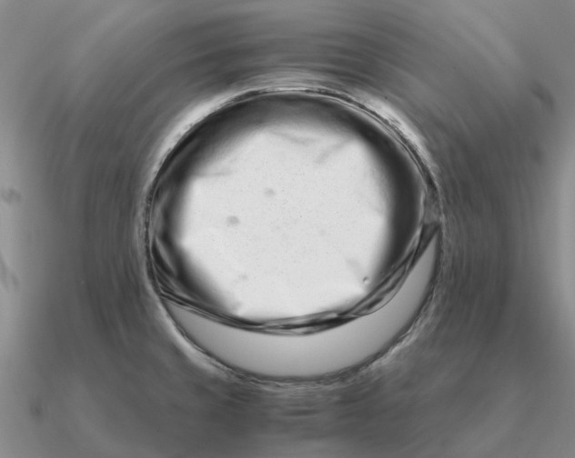 X0000090601429200708071133