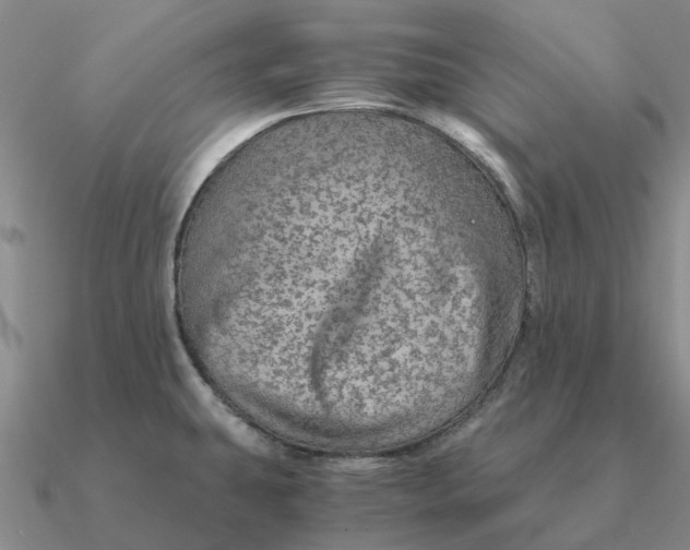 X0000090601431200708071133