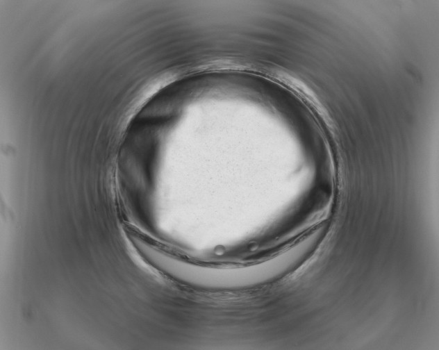 X0000090601433200708071133