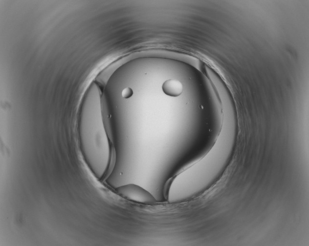 X0000090601434200708071133