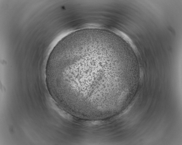 X0000090601435200708071133