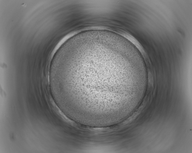 X0000090601436200708071133