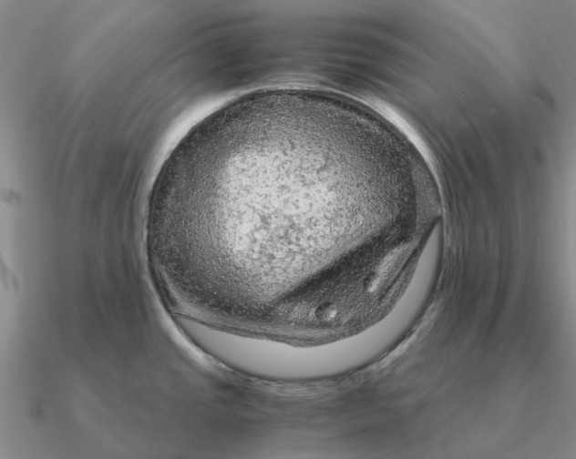 X0000090601437200708071133