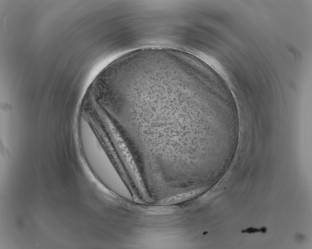 X0000090601440200708071133