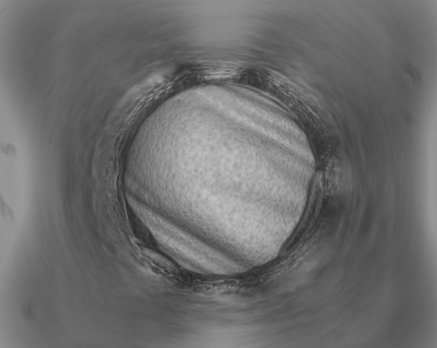 X0000090601441200708071133