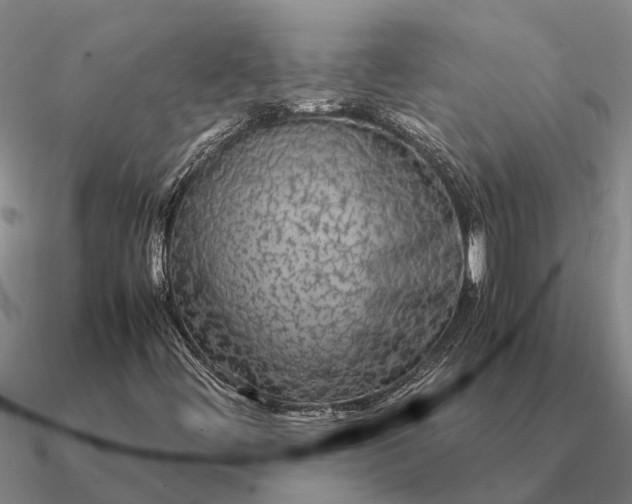 X0000090601444200708071133