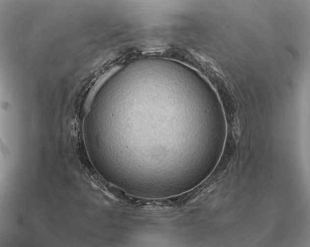 X0000090601445200708071133