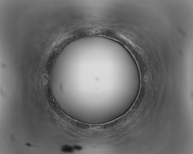 X0000090601447200708071133