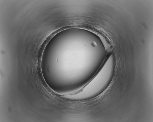 X0000090601449200708071133