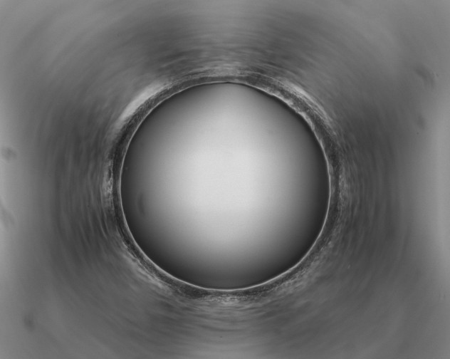 X0000090601450200708071133