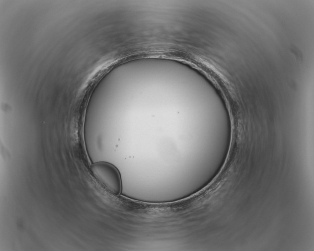 X0000090601451200708071132