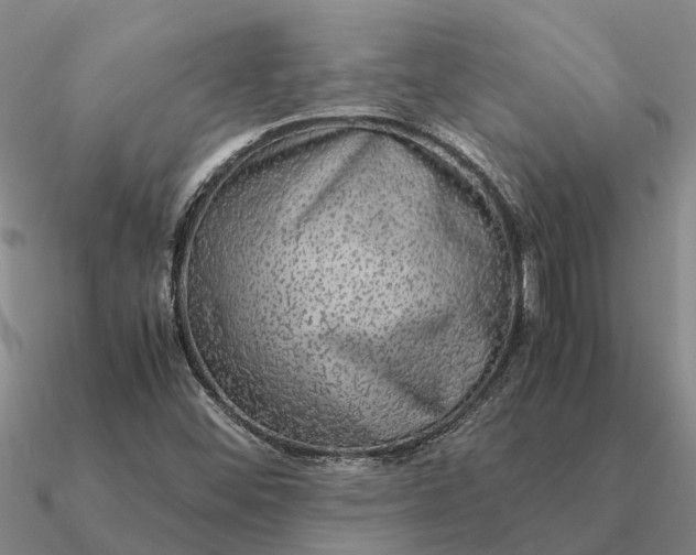 X0000090601452200708071132