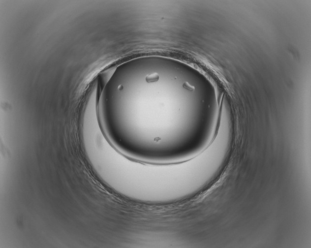 X0000090601453200708071132