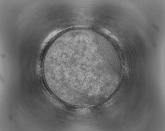 X0000090601454200708071132