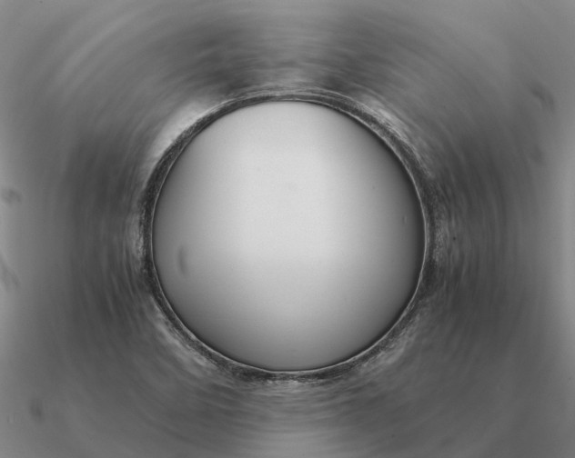 X0000090601458200708071132