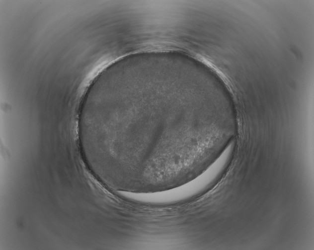 X0000090601459200708071132