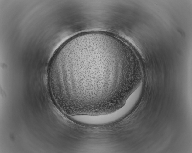 X0000090601460200708071132