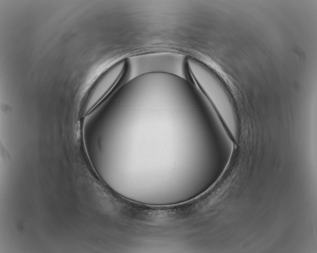 X0000090601461200708071132