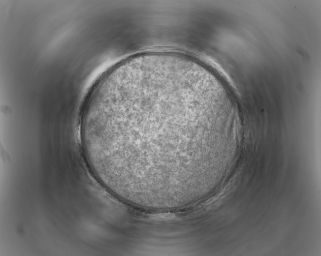 X0000090601462200708071132