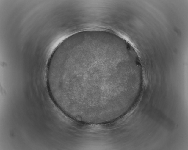 X0000090601463200708071132