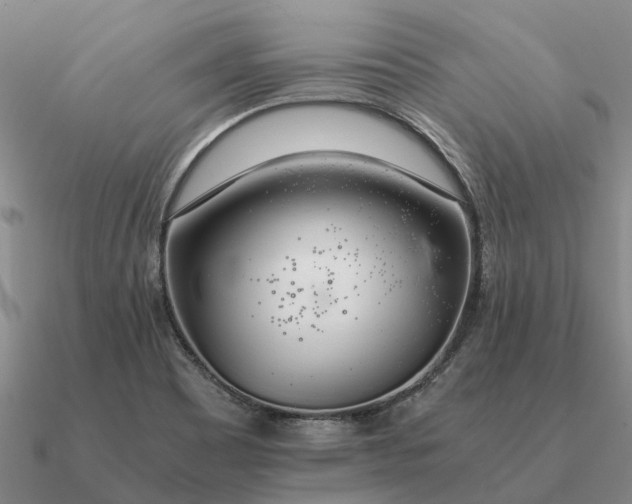 X0000090601465200708071132