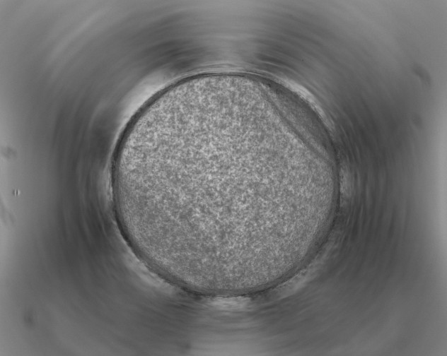 X0000090601466200708071132