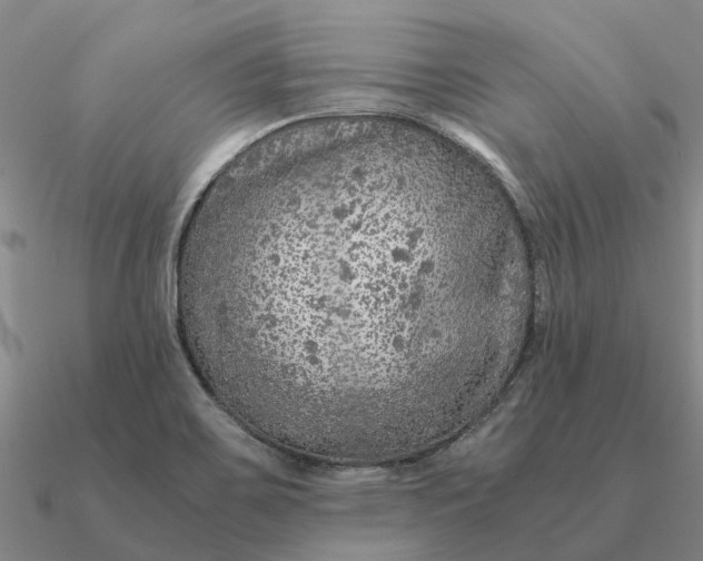 X0000090601467200708071132