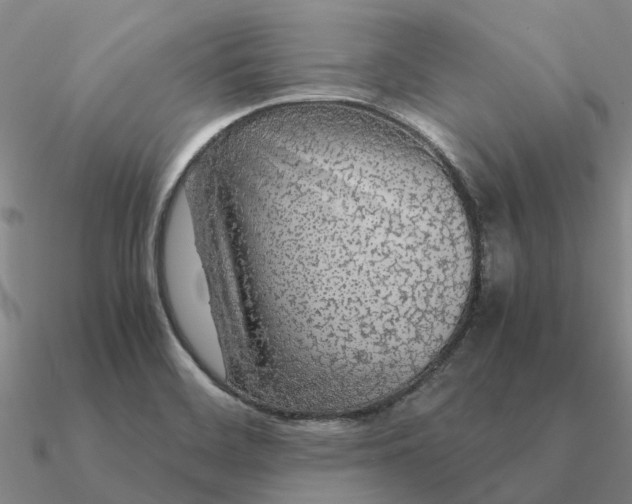 X0000090601468200708071132