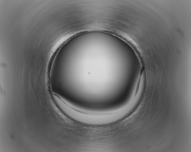 X0000090601469200708071132