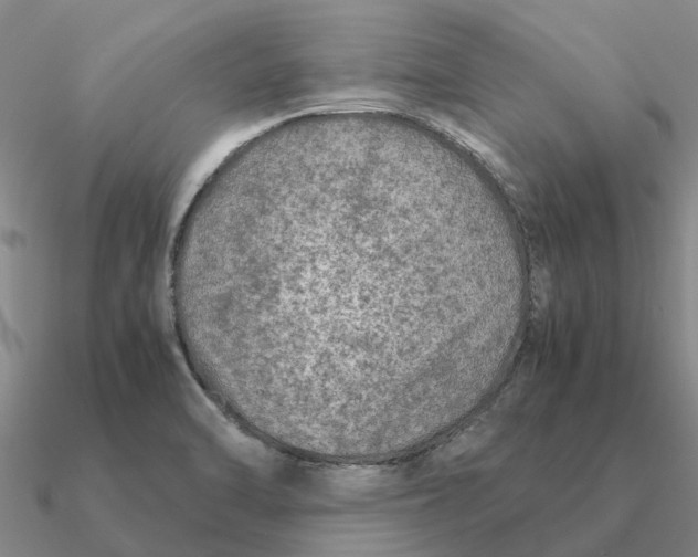 X0000090601470200708071132