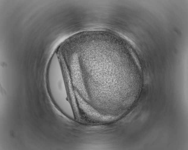 X0000090601471200708071132