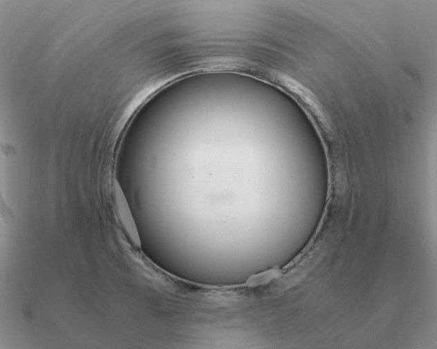 X0000090601473200708071132