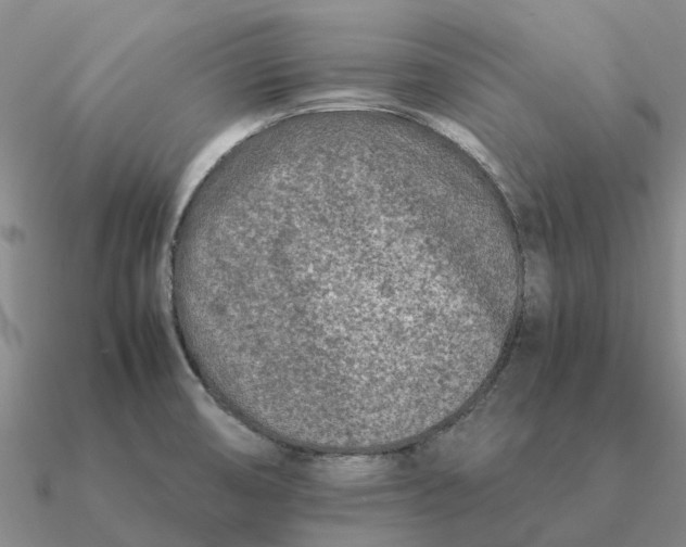 X0000090601474200708071132