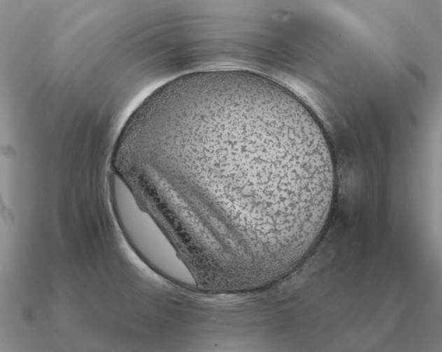 X0000090601476200708071132