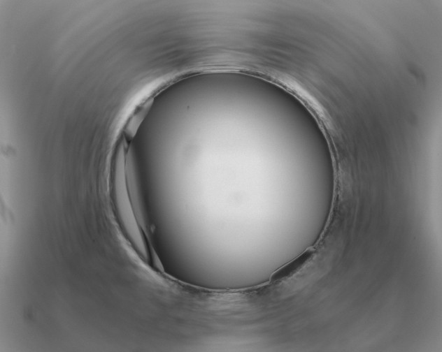 X0000090601477200708071132