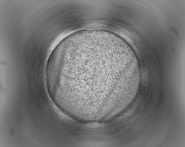 X0000090601478200708071132