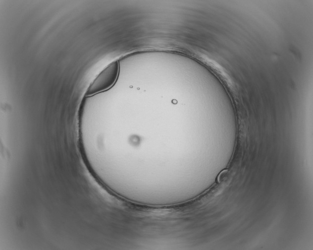 X0000090601479200708071132